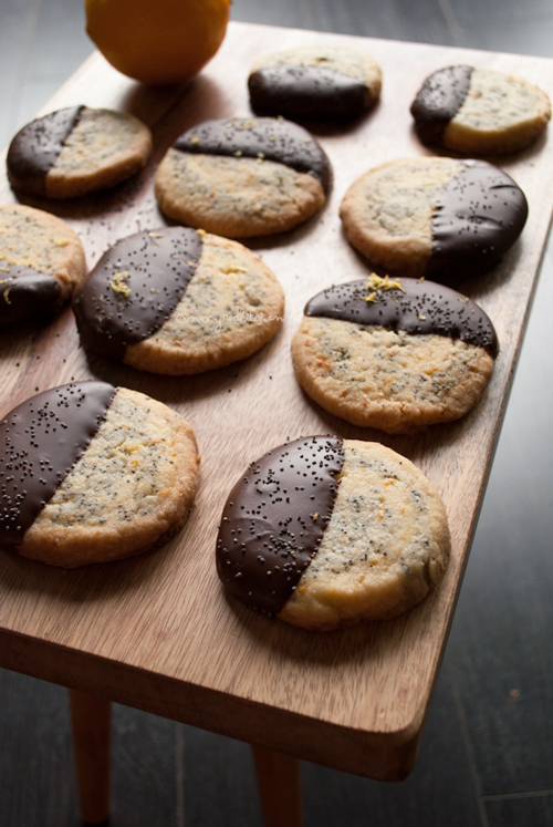 Lemon poppy seed cookies with chocolate | in my Red Kitchen